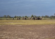 Kenia_052