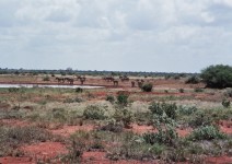 Kenia_081
