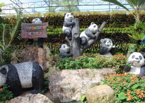 Tajlandia_i_Kambodza_2013_131