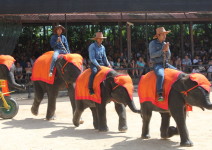Tajlandia_i_Kambodza_2013_151