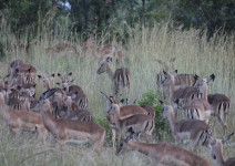 IMG_3150 (FILEminimizer)