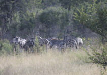 IMG_3180 (FILEminimizer)