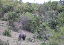 IMG_3326 (FILEminimizer)