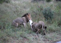 IMG_3704 (FILEminimizer)