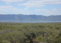 IMG_3822 (FILEminimizer)