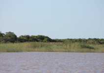 IMG_3885 (FILEminimizer)
