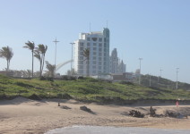 IMG_4162 (FILEminimizer)