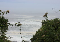 IMG_4315 (FILEminimizer)