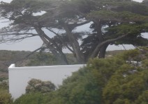 SAMSUNG CAMERA PICTURES