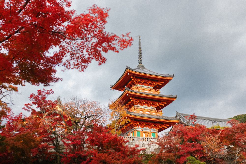 Czerwona pagoda świątyni Kiyomizu-dera w Kioto wśród jesiennych czerwonych klonów