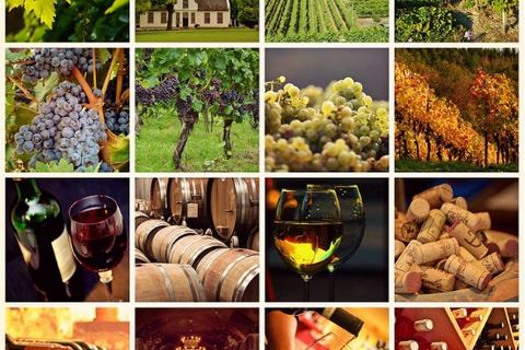 Kolaż zdjęć z winnic: winogrona, beczki i butelki wina